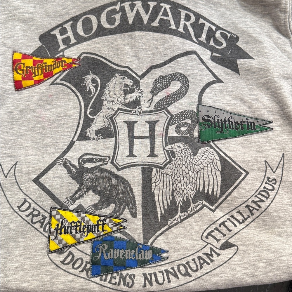 Zara Kids Hogwarts Crest Gray Hoodie - Picture 2 of 7